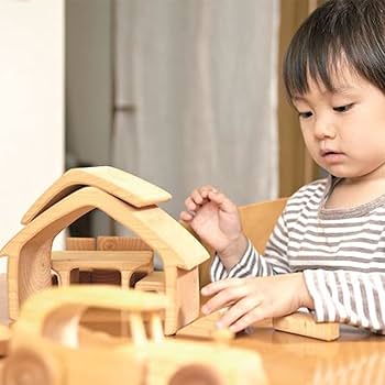 未使用 おうちの積み木 ドイツ ケーファー社 カラフル 51hMnywqy3L._UF894,1000_QL80_.jpg